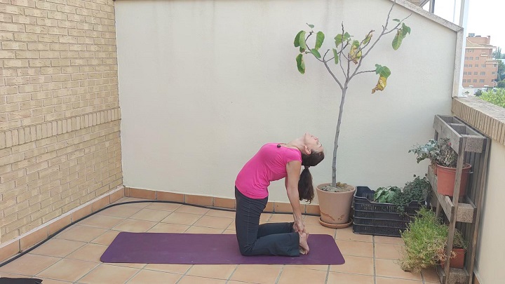 Ustrasana