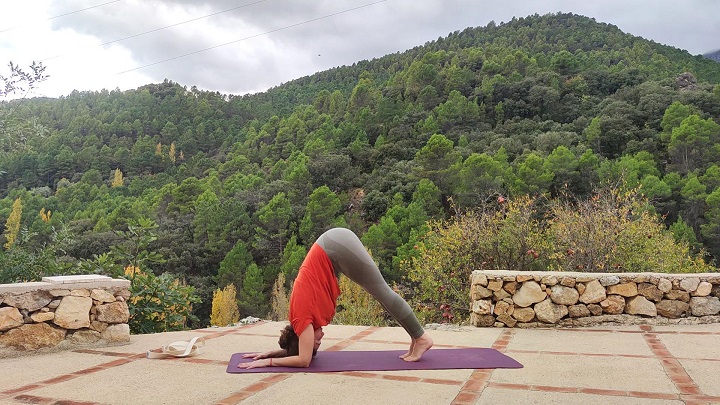 Clase de yoga online para fortalecer brazos de 30 min