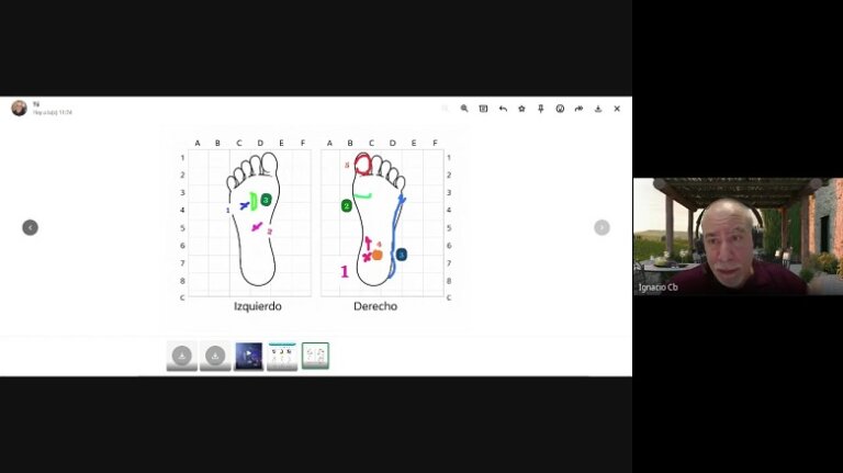 Charla reflexología podal holística